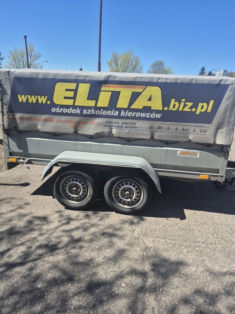 51303